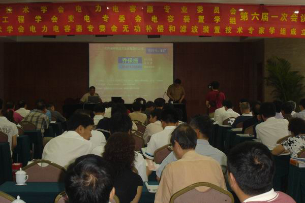 我公司参加电力电容器专委会无功补偿装置和滤波装置技术专家学组成立大会